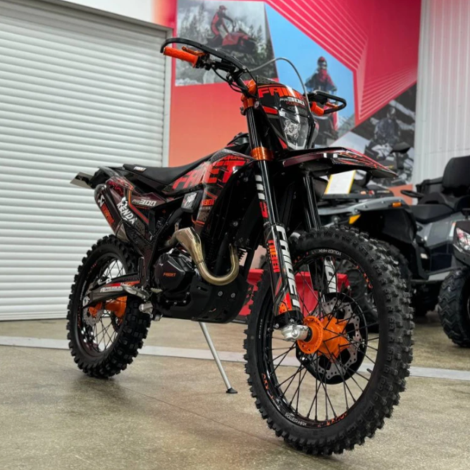 Кроссовый мотоцикл FAIDET PR300 MAX WP в Нижневартовске