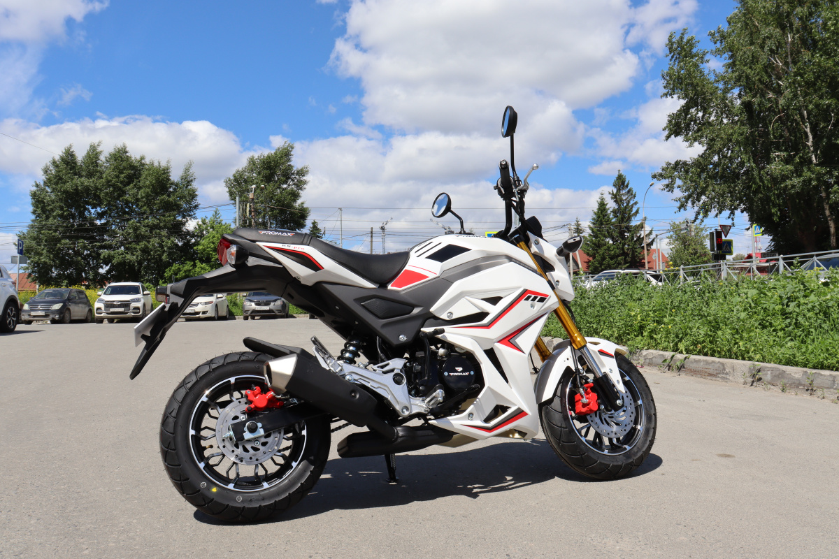 Мотоцикл PROMAX STRYKER 200(49) 2.0 в Нижневартовске