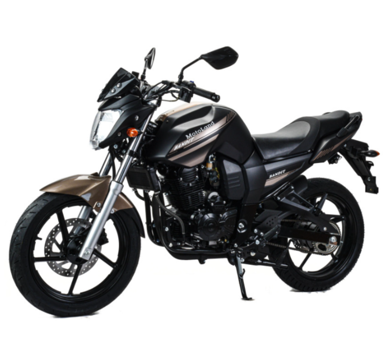 Мотоцикл MOTOLAND (МОТОЛЕНД) 300 BANDIT в Нижневартовске