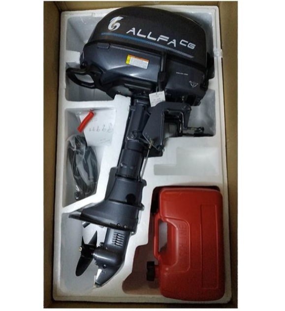 Лодочный мотор ALLFA CG F6 в Нижневартовске