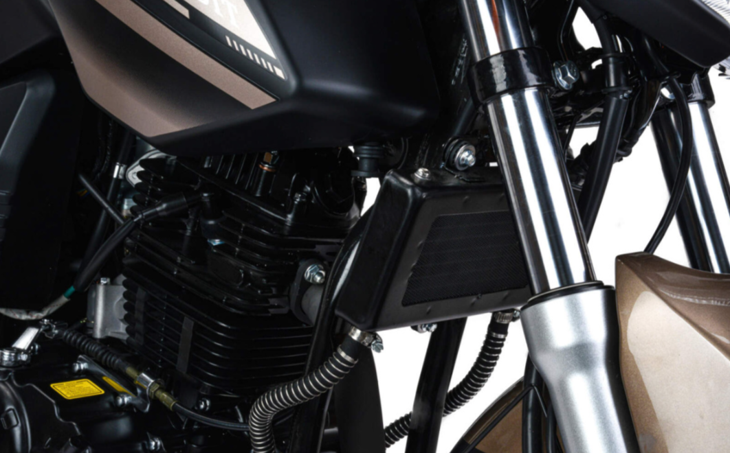 Мотоцикл MOTOLAND (МОТОЛЕНД) 300 BANDIT в Нижневартовске