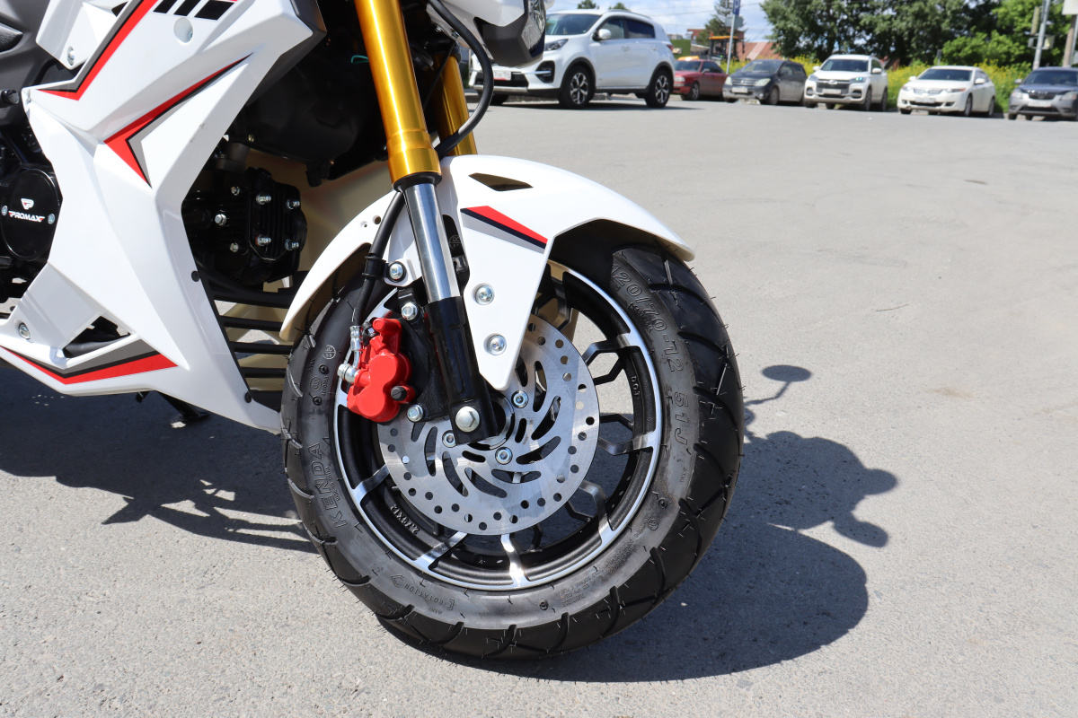 Мотоцикл PROMAX STRYKER 200(49) 2.0 в Нижневартовске