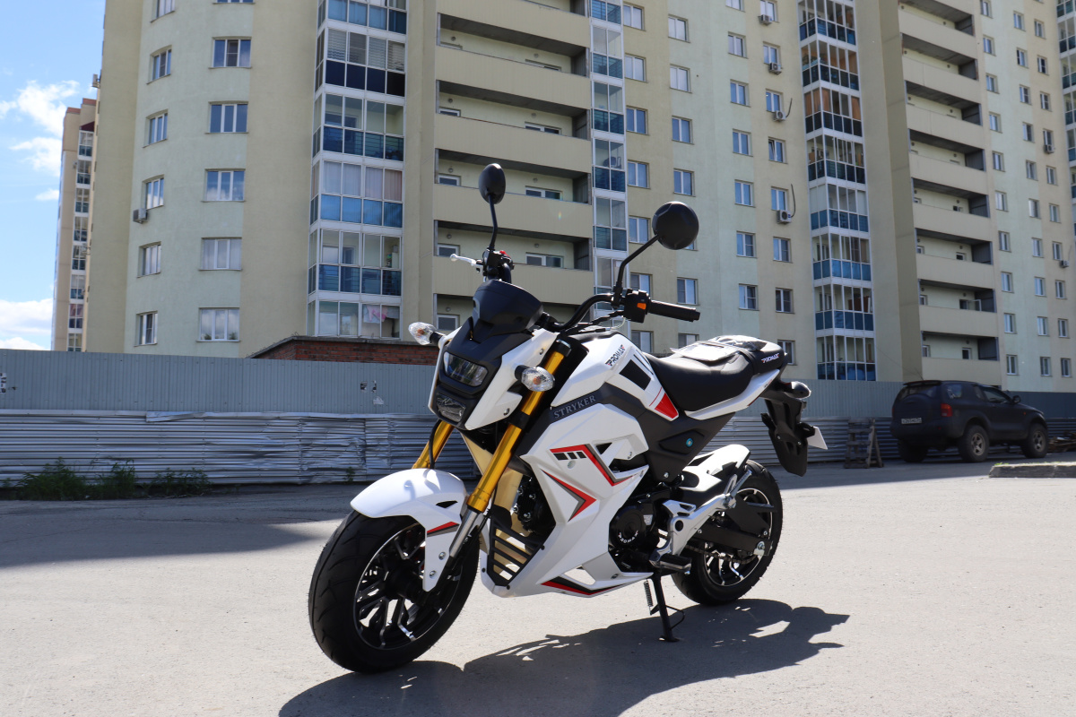 Мотоцикл PROMAX STRYKER 200(49) 2.0 в Нижневартовске
