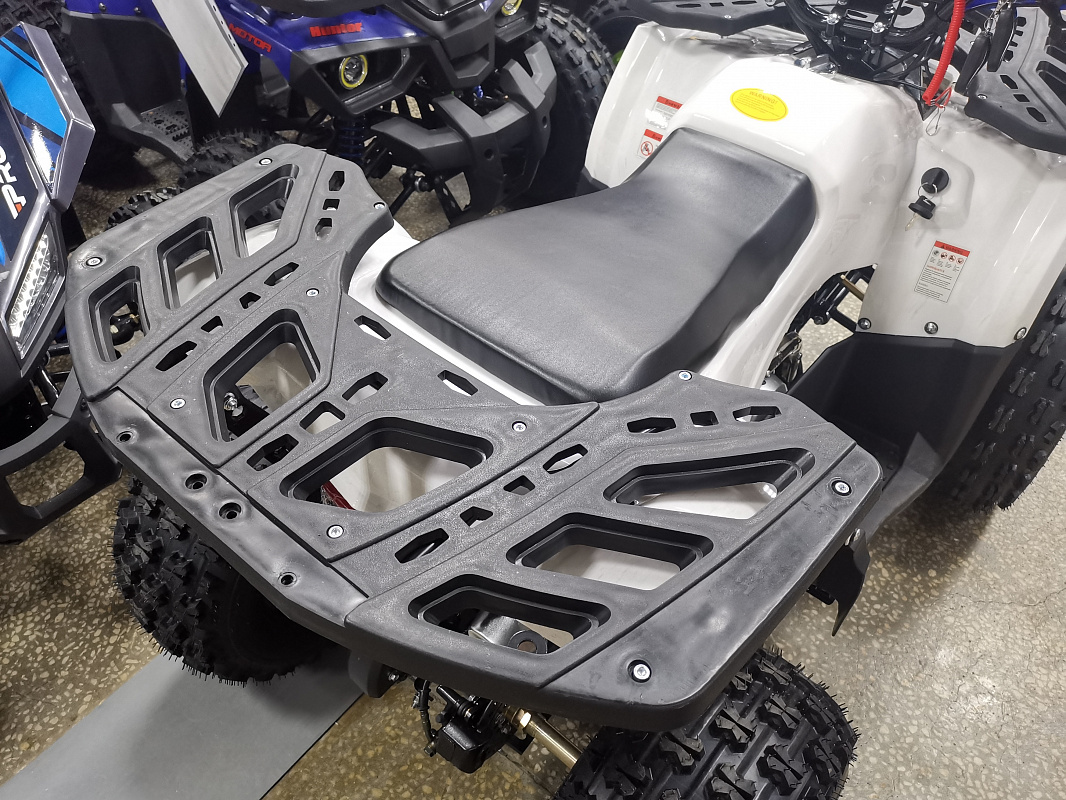 Квадроцикл PROMAX WILD 175 LUX в Нижневартовске