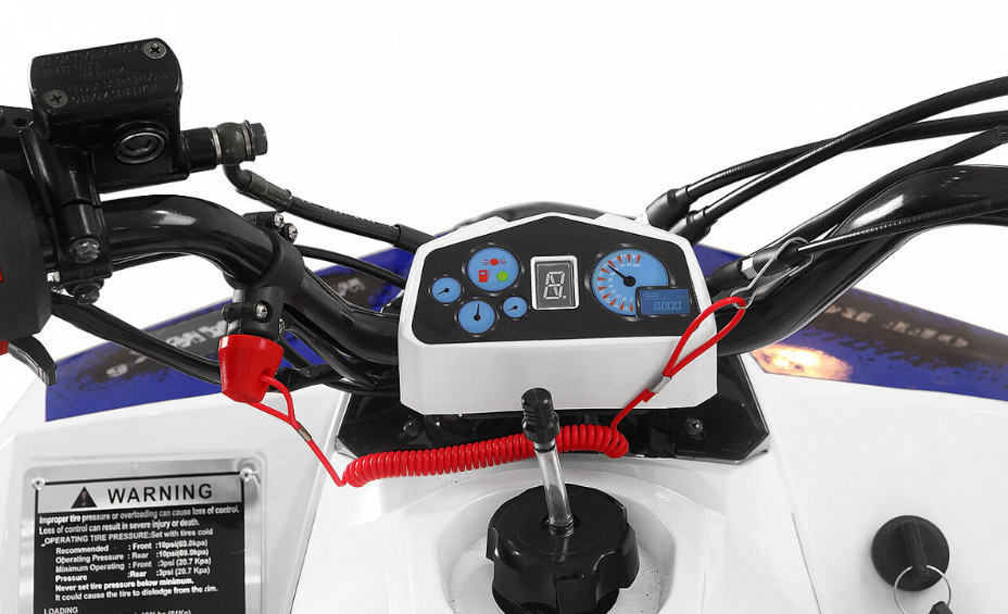 Квадроцикл Yacota Raposa PRO-SPORT в Нижневартовске