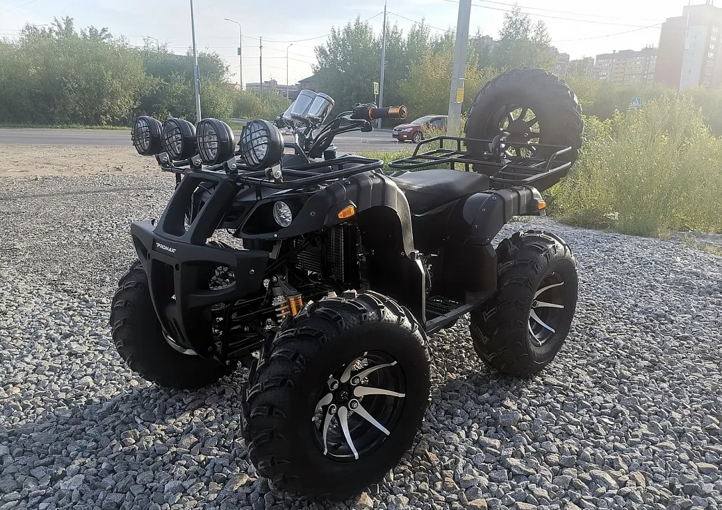 Квадроцикл PROMAX LEO 300 Max (кардан) в Нижневартовске