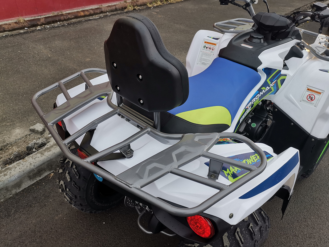 Квадроцикл PROMAX RENEGADE 280 LUX (2025) в Нижневартовске