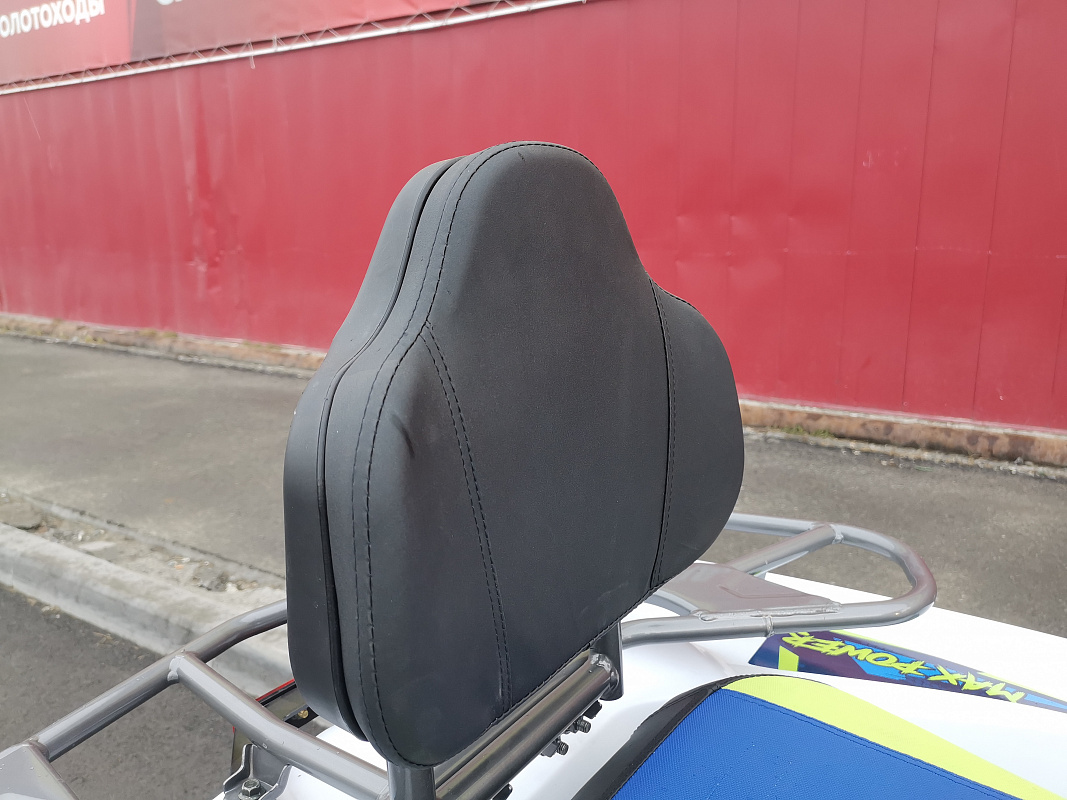 Квадроцикл PROMAX RENEGADE 280 LUX (2025) в Нижневартовске