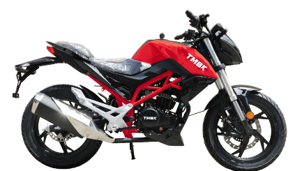 Мотоцикл TMBK Dukes 200cc в Нижневартовске