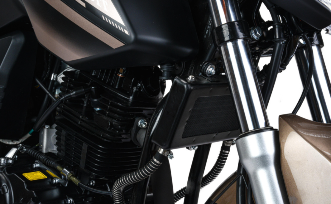 Мотоцикл MOTOLAND (МОТОЛЕНД) 300 BANDIT в Нижневартовске