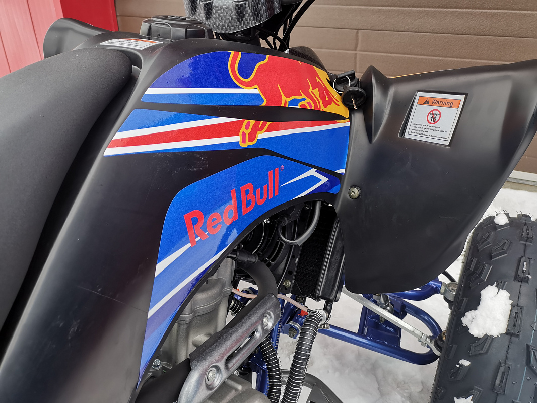 Квадроцикл PROMAX RAPTOR 300 NEW RedBull в Нижневартовске