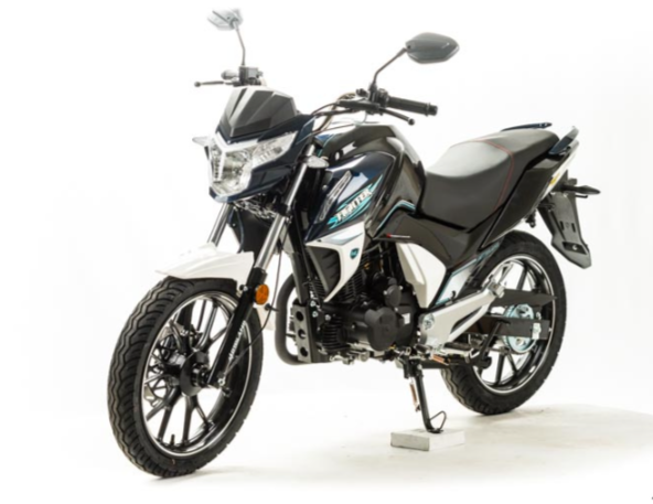 Мотоцикл MOTOLAND (МОТОЛЕНД) FIGHTER 250 в Нижневартовске