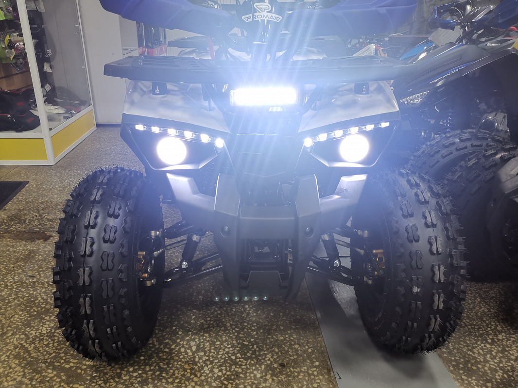 Квадроцикл PROMAX WILD 175 LUX в Нижневартовске