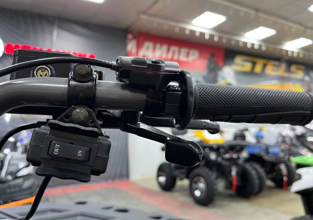 Квадроцикл PROMAX RENEGADE 300 LONG WINCH PRO (2025) в Нижневартовске