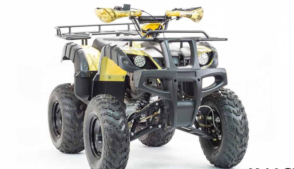 Квадроцикл MOTOLAND (МОТОЛЕНД) 250 ADVENTURE в Нижневартовске