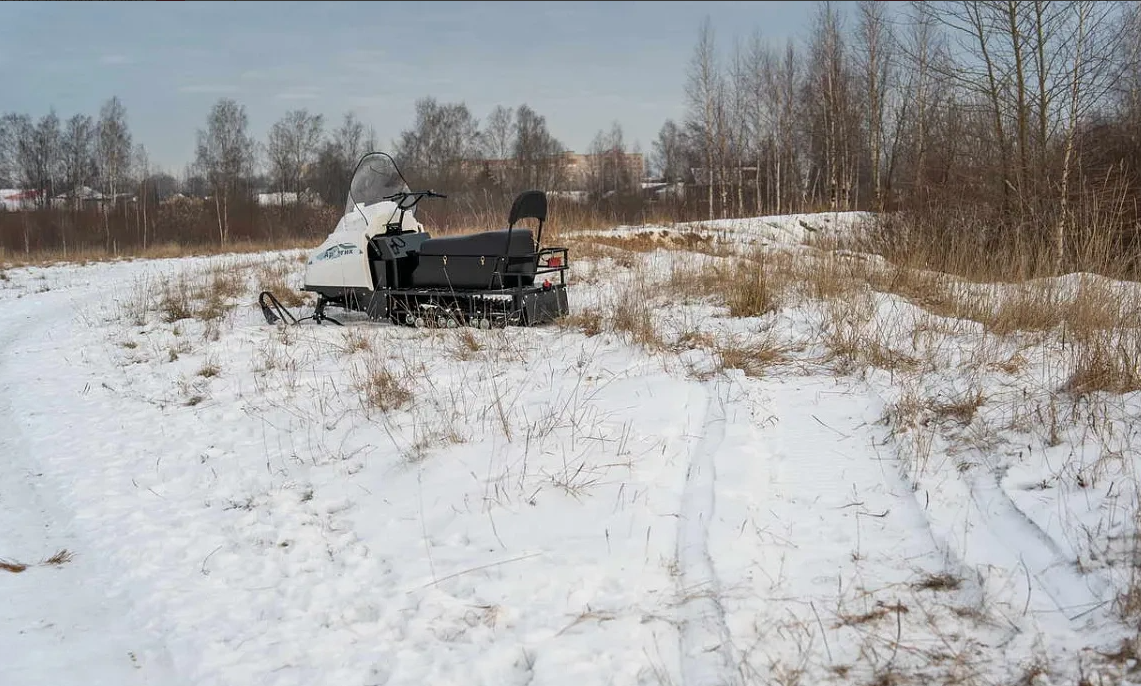 Снегоход БТС АРТИК 4Т /ЛОНГ/ 20 л.с. э/зап, реверс, тормоз в Нижневартовске