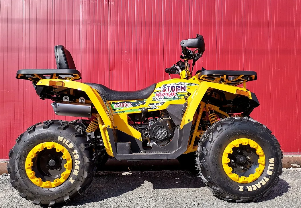 Квадроцикл PROMAX STORM 280 LUX в Нижневартовске