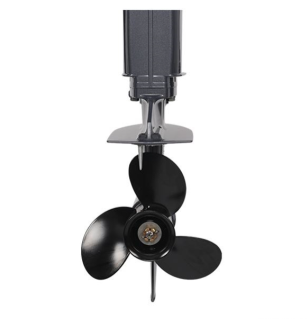 Лодочный мотор ALLFA CG Т40FW S в Нижневартовске