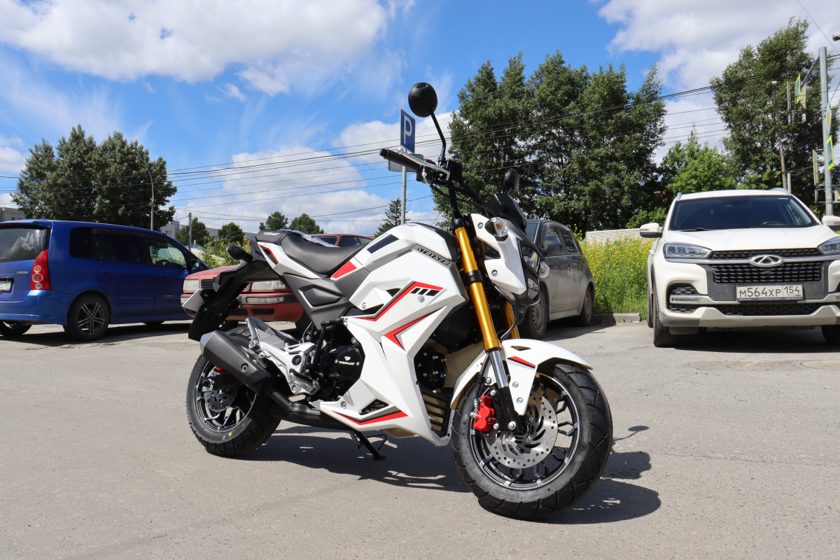 Мотоцикл PROMAX STRYKER 200(49) 2.0 в Нижневартовске