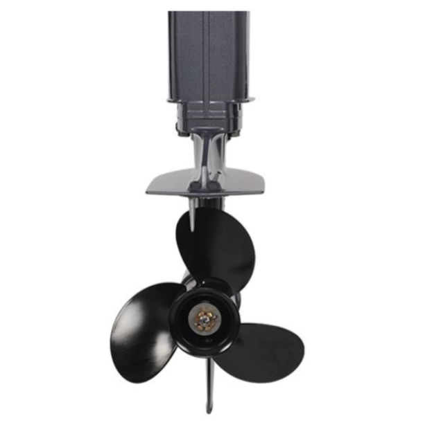 Лодочный мотор ALLFA CG Т40FWT S в Нижневартовске