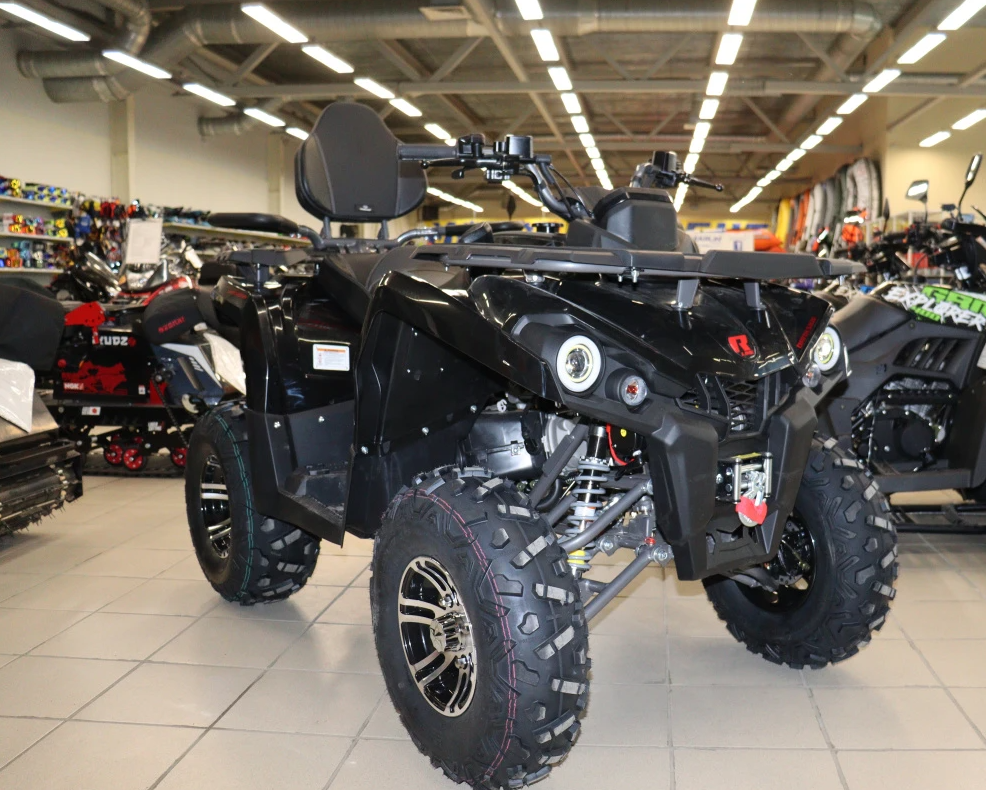 Квадроцикл PROMAX RENEGADE 300 LONG WINCH PRO (2025) в Нижневартовске
