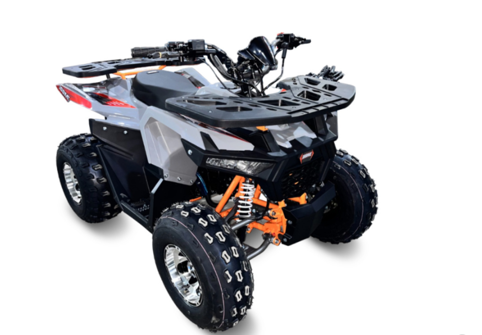 Квадроцикл GBM DAXTER 220 NEW PREMIUM в Нижневартовске