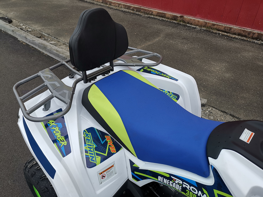 Квадроцикл PROMAX RENEGADE 280 LUX (2025) в Нижневартовске