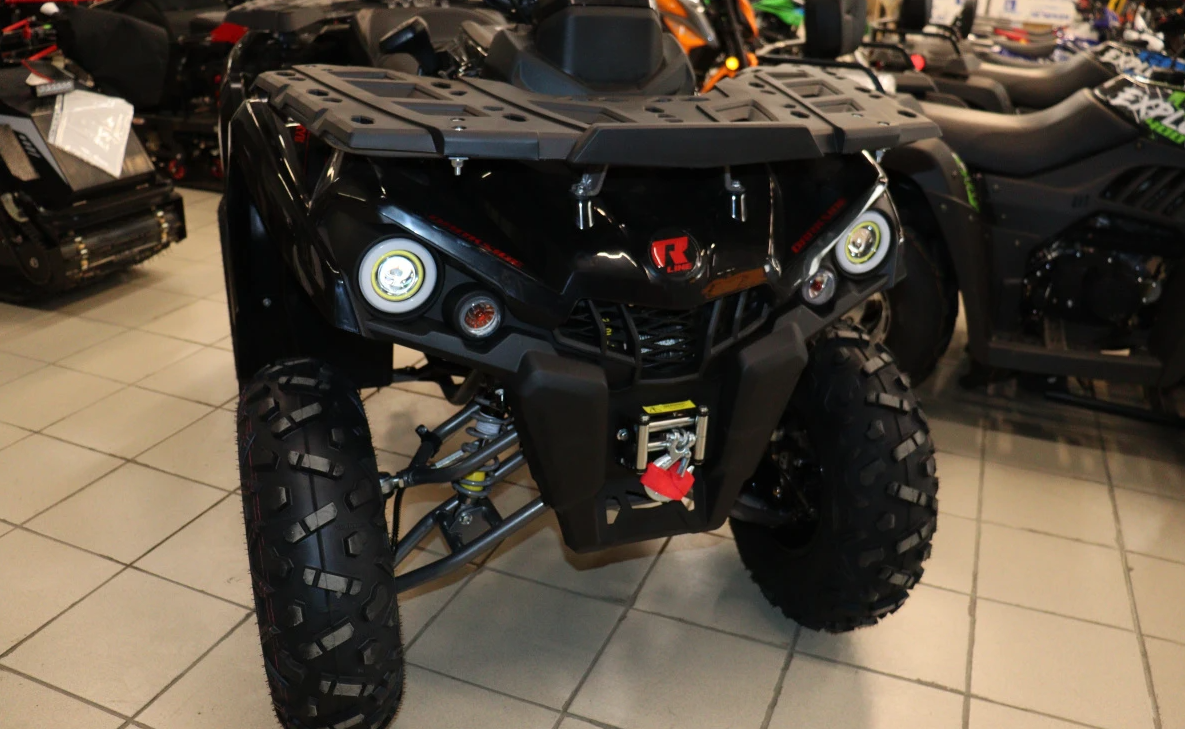 Квадроцикл PROMAX RENEGADE 300 LONG WINCH PRO (2025) в Нижневартовске