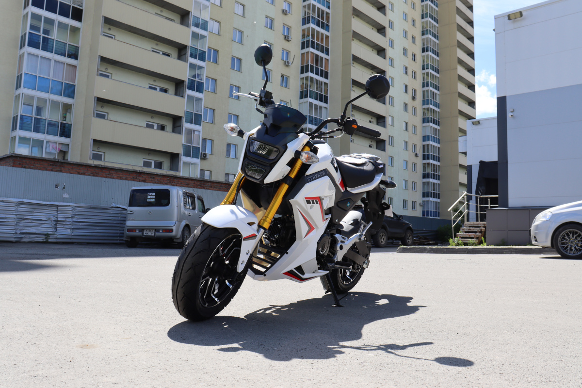 Мотоцикл PROMAX STRYKER 200(49) 2.0 в Нижневартовске