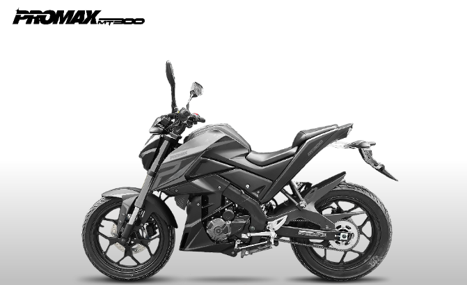 Мотоцикл PROMAX MT300 в Нижневартовске