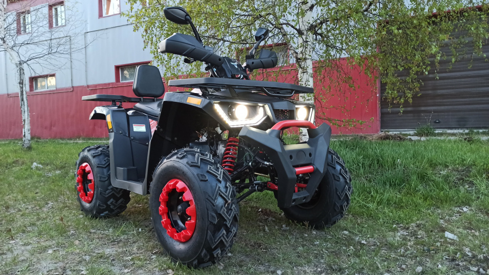 Квадроцикл PROMAX WILD 300 LUX (2024) в Нижневартовске