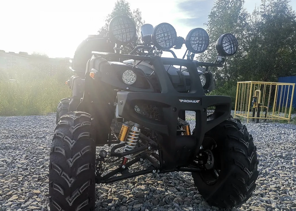 Квадроцикл PROMAX LEO 300 Max (кардан) в Нижневартовске
