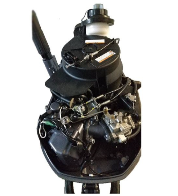 Лодочный мотор ALLFA CG F6 в Нижневартовске