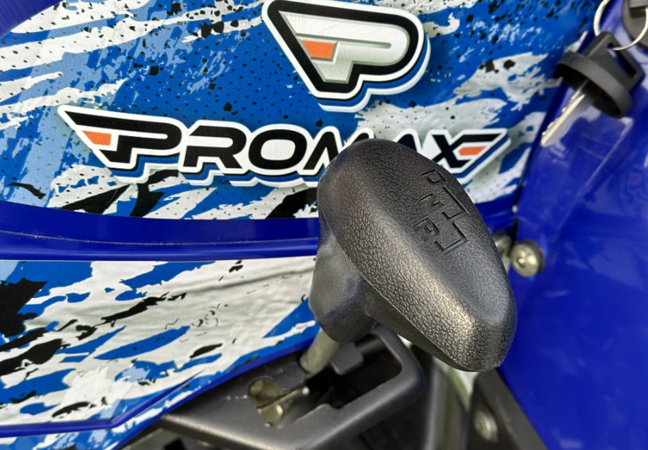  Квадроцикл PROMAX ATV 250 MAX (2025) в Нижневартовске