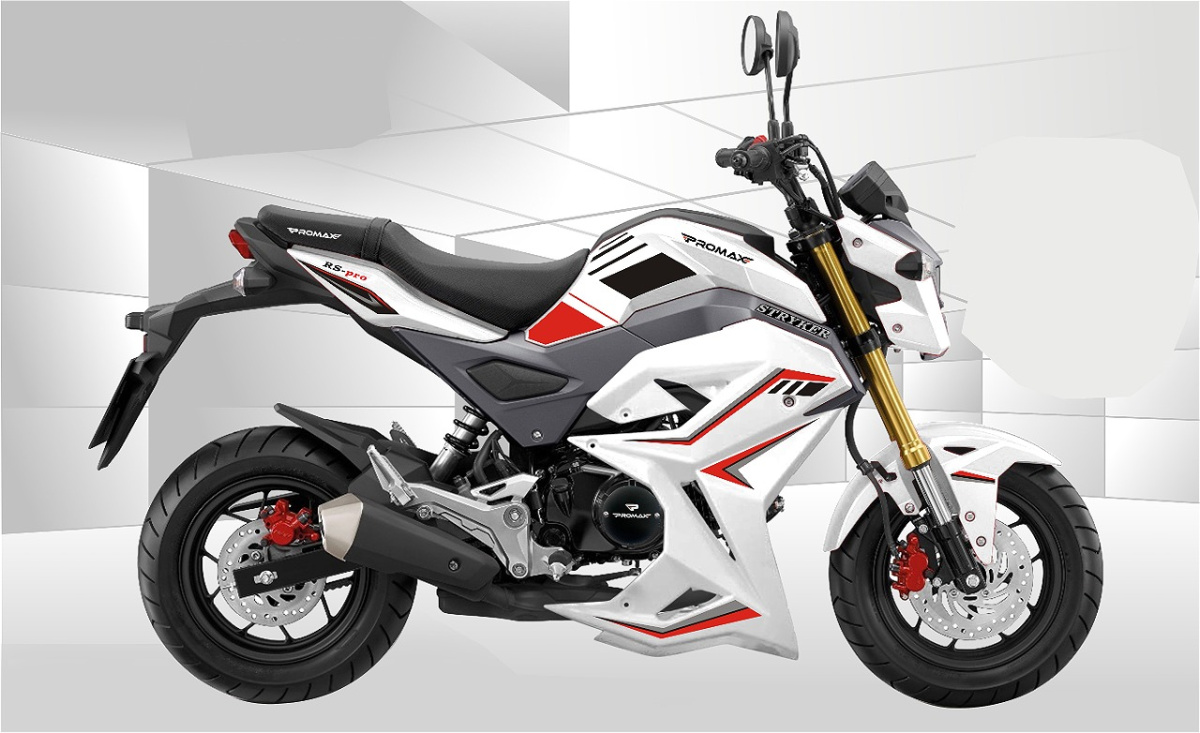 Мотоцикл PROMAX STRYKER 200(49) 2.0 в Нижневартовске