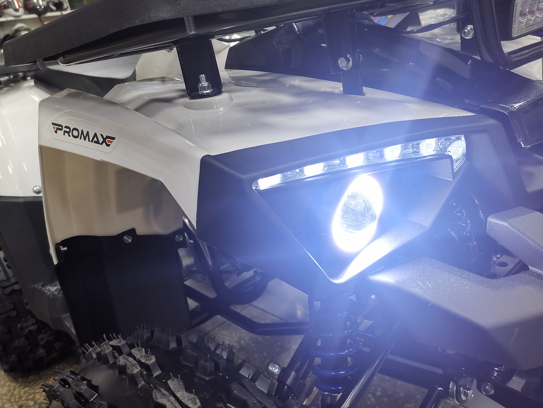 Квадроцикл PROMAX WILD 175 LUX в Нижневартовске
