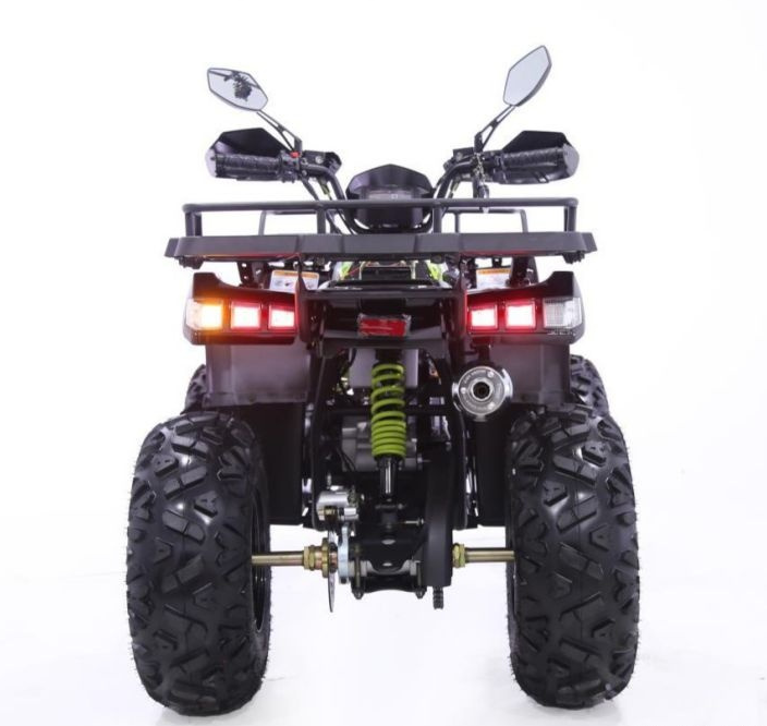 Квадроцикл YACOTA WARRIOR 200 PRO в Нижневартовске