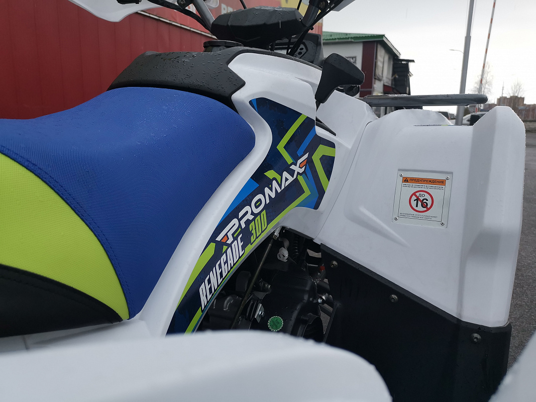 Квадроцикл PROMAX RENEGADE 280 LUX (2025) в Нижневартовске