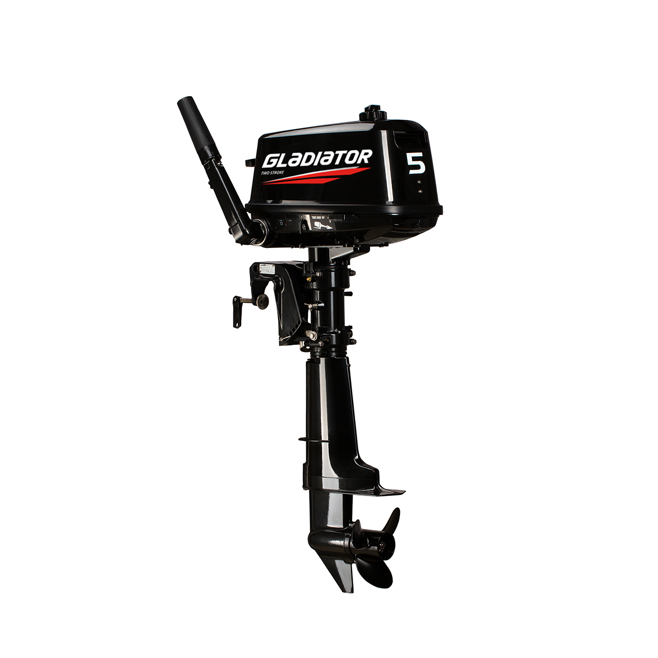 ЛОДОЧНЫЙ МОТОР GLADIATOR G5FHS в Нижневартовске