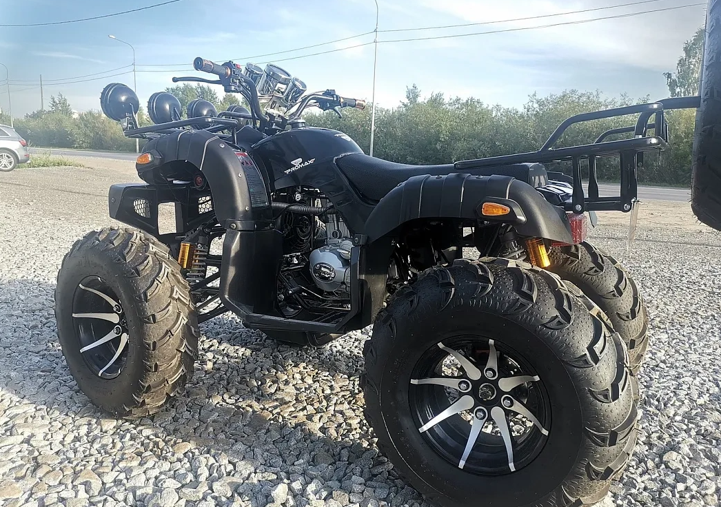 Квадроцикл PROMAX LEO 300 Max (кардан) в Нижневартовске