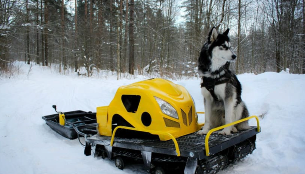 Мотобуксировщик LEBEDEV MOTORS ВОЛКОДАВ POWER V13 в Нижневартовске