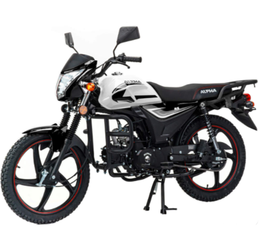 Мопед MOTOLAND (МОТОЛЕНД) Альфа RS 11 (LM48-B) в Нижневартовске