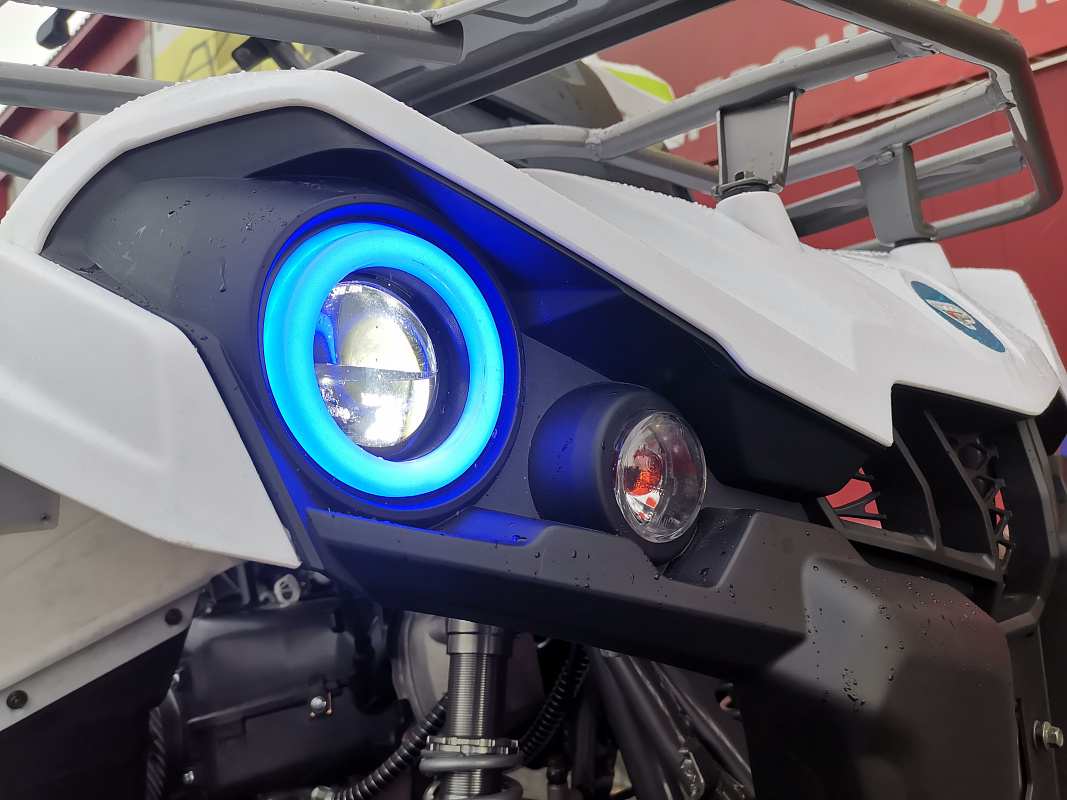 Квадроцикл PROMAX RENEGADE 280 LUX (2025) в Нижневартовске