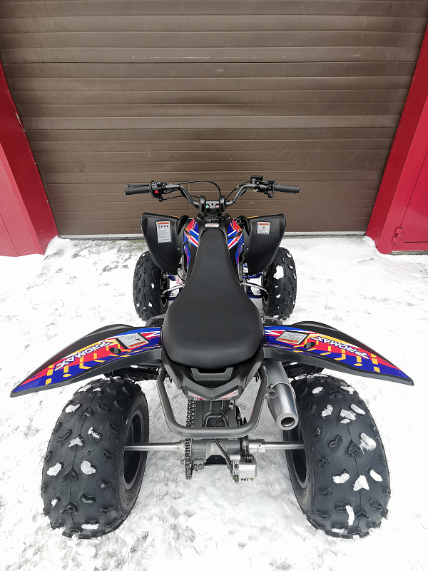 Квадроцикл PROMAX RAPTOR 300 NEW RedBull в Нижневартовске