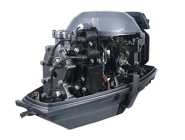 ЛОДОЧНЫЙ МОТОР ALLFA CG T30 FW S в Нижневартовске