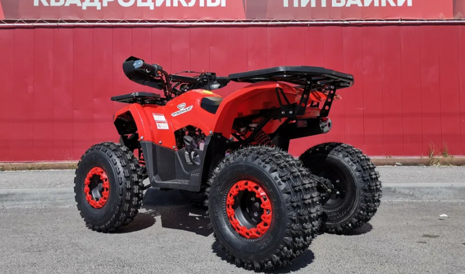 Квадроцикл PROMAX WILD 175 BASIC в Нижневартовске