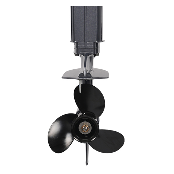 ЛОДОЧНЫЙ МОТОР ALLFA CG T30 FW S в Нижневартовске