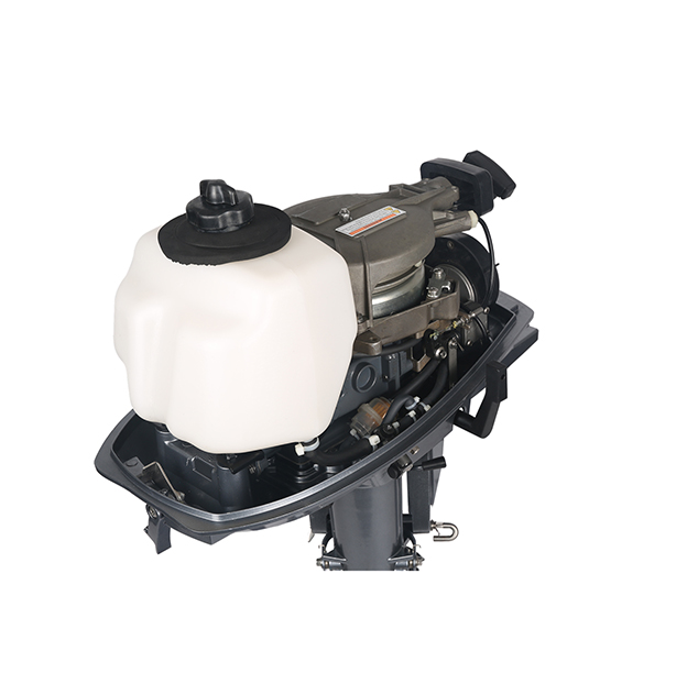 ЛОДОЧНЫЙ МОТОР ALLFA CG T5 в Нижневартовске