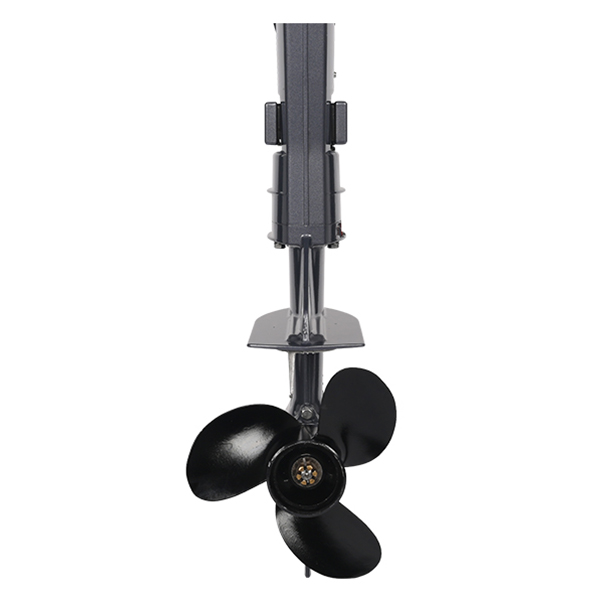 ЛОДОЧНЫЙ МОТОР ALLFA CG T5 в Нижневартовске