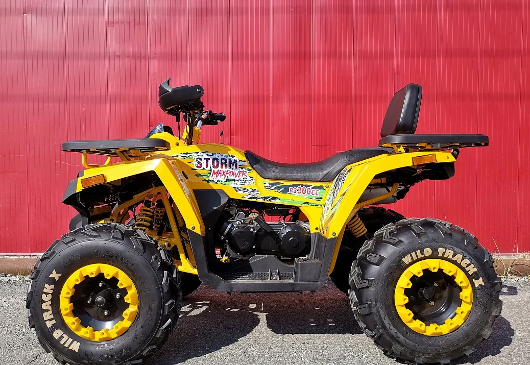 Квадроцикл PROMAX STORM 280 LUX в Нижневартовске